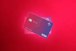 Bradesco Neo Visa Internacional: análise completa