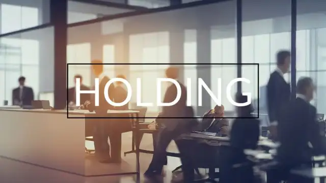 Finanças e Investimentos em Holdings Empresariais