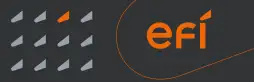 Maximize suas Compras com o Programa de Pontos Livelo e o Cartão de Crédito Efí